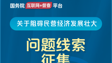 dajiba在线国务院“互联网+督查”平台公开征集阻碍民营经济发展壮大问题线索